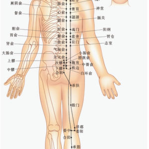 Zen Ashiatsu is much more than “A simple walk on your back…”